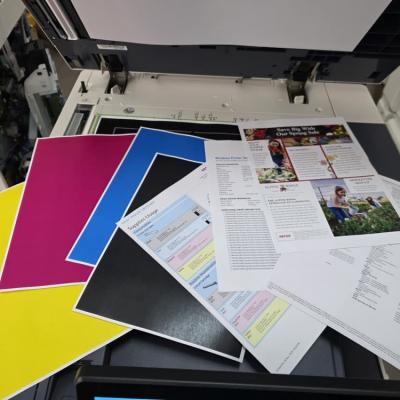 Whatsapp Image 2025 11 12 At 10.30.54 630ec4b21