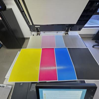 Whatsapp Image 2025 11 19 At 17.00.28 94366220